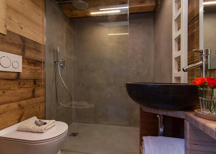 Chalet Mazot Du Mont-blanc - Happy *