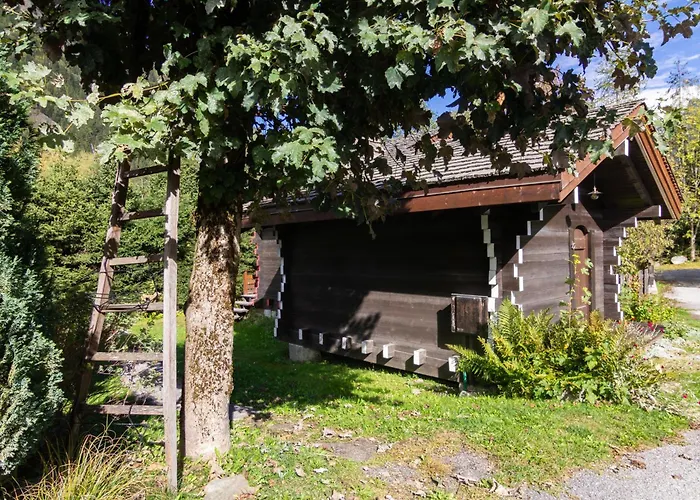 Mazot Du Mont-blanc - Happy 木屋 *