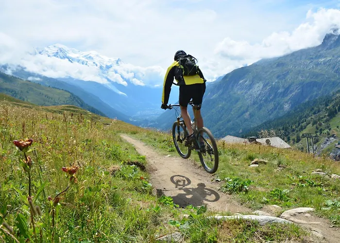 Mazot Du Mont-blanc - Happy 木屋 *